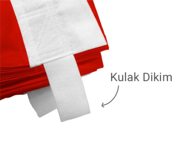 Türk Bayrağı - Görsel 2